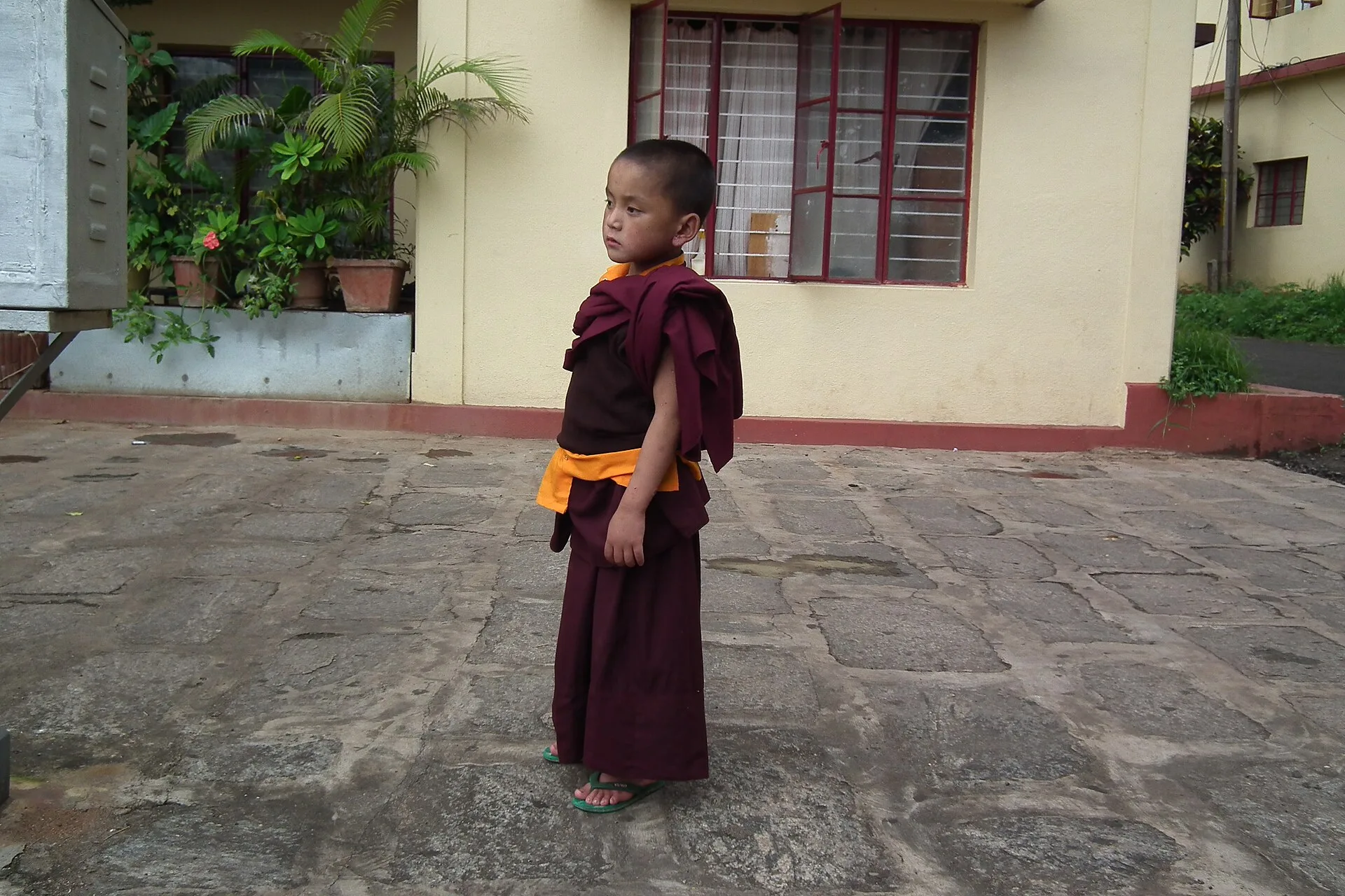 Buddhism — real photography representing this cause