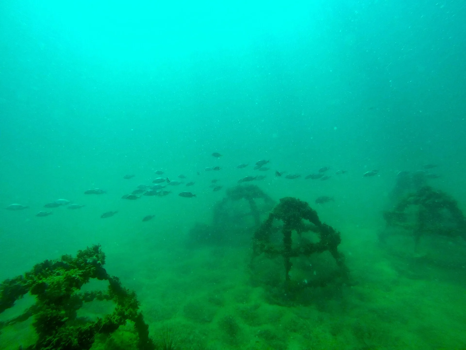 Ocean — documentary photograph (International)