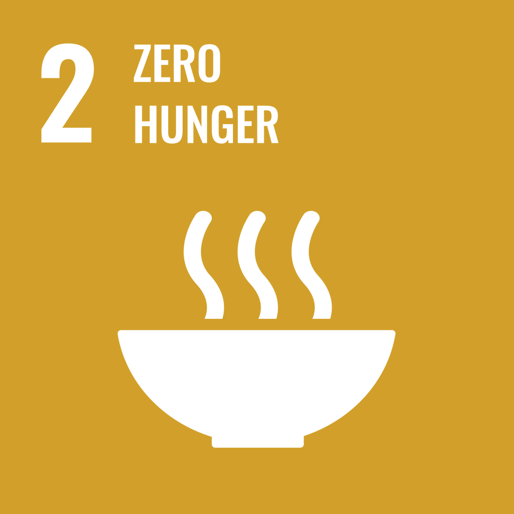 SDG 2 — Zero Hunger
