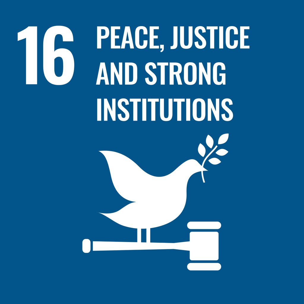 SDG 16 — Peace, Justice and Strong Institutions