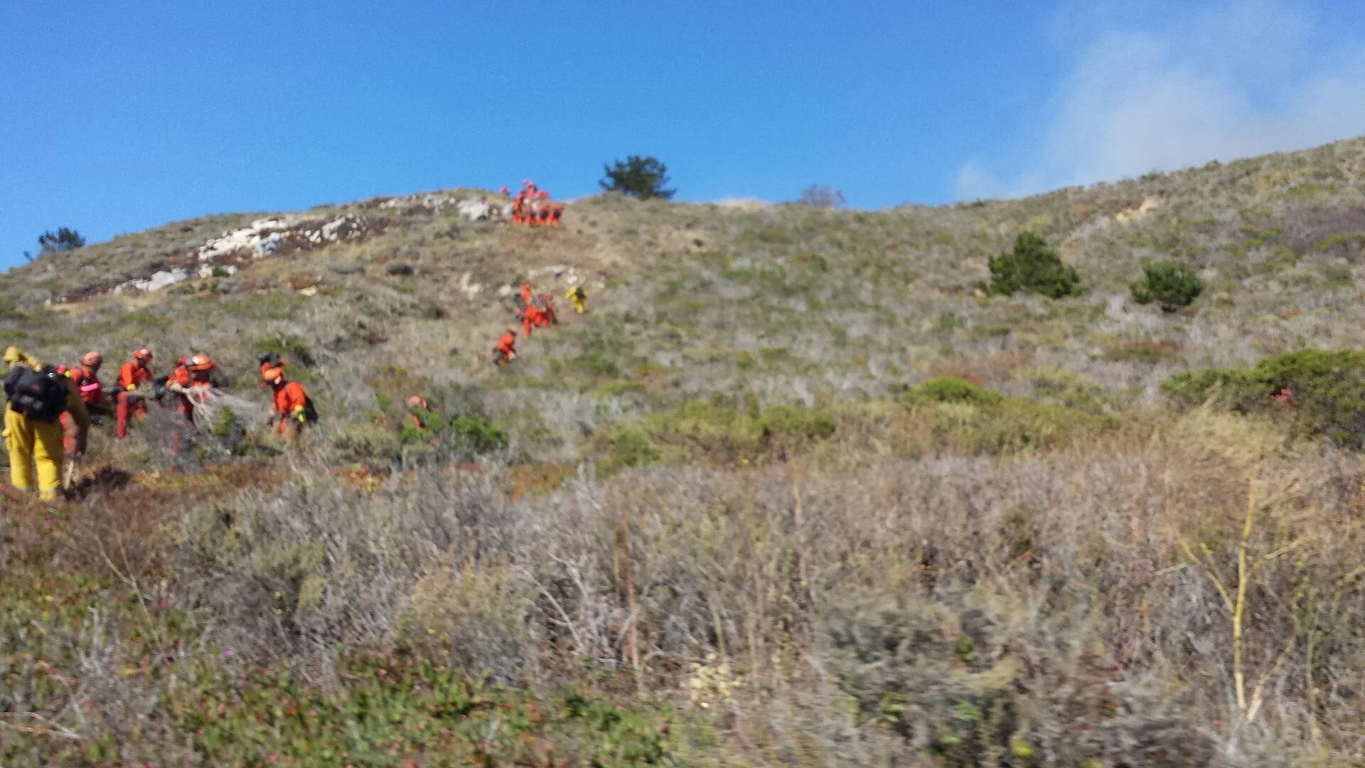Volunteers distributing relief supplies after a wildfire