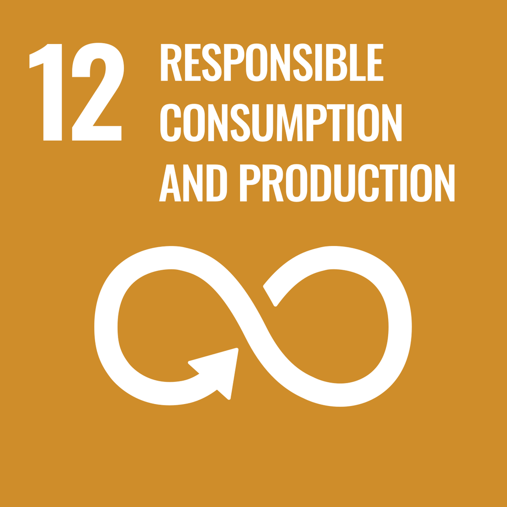 SDG 12 — Responsible Consumption and Production