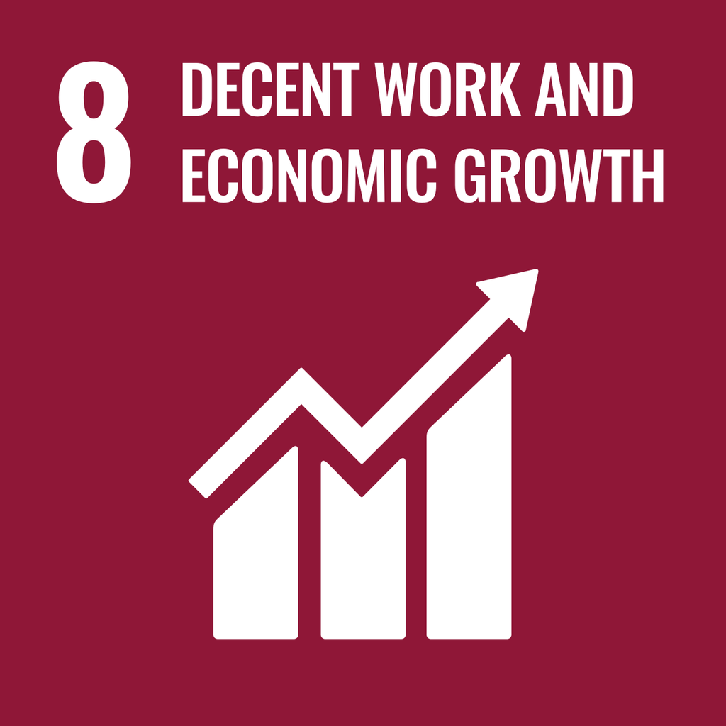 SDG 8 — Decent Work and Economic Growth