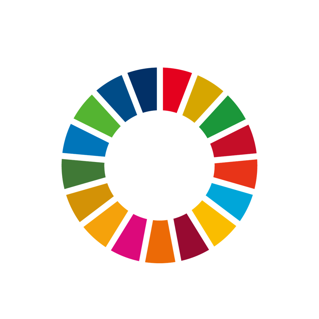 The 17 UN Sustainable Development Goals