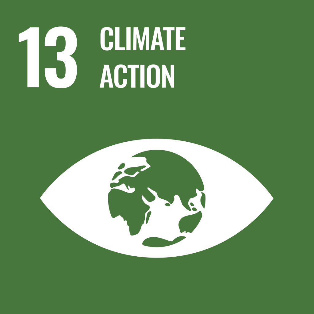 SDG 13 — Climate Action